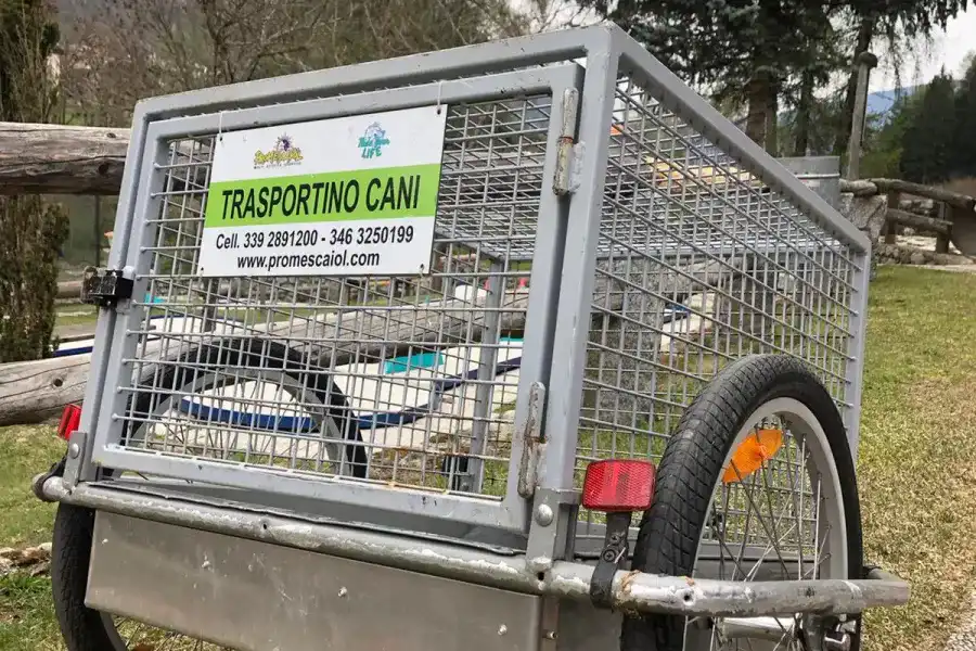 Entdecken Sie den Fahrradverleih - E-Bike - Val di Sole