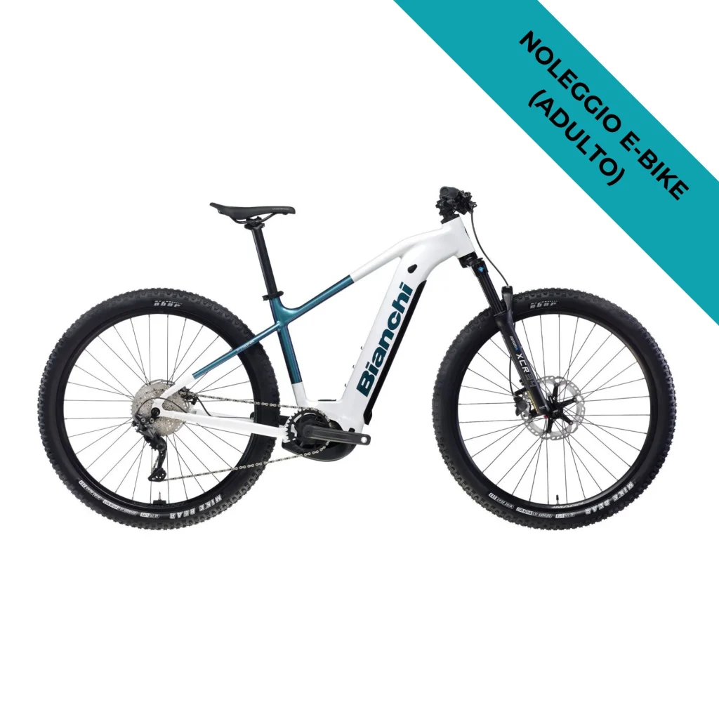 Noleggio bike, ebike e mtb Val di Sole
